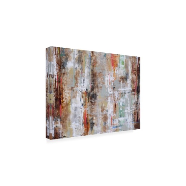 Ingeborg Herckenrath 'Wood Reflection' Canvas Art,24x32